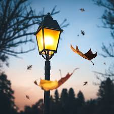 Apple pay accepted in store. Can I Use This Bulb Outside 1000bulbs Com Blog