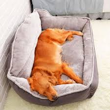 canape pour chien coussin chien canape pour chien tapis chien
