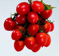 Risultati immagini per foto pomodoro