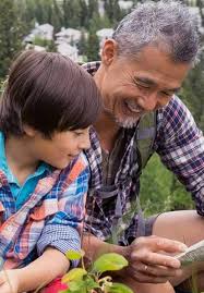 Compare multiple companies when you're shopping for insurance quotes to find the best rates, and best fit for your family's needs, you need to obtain free insurance quotes from multiple companies. Request A Quote Term Life Aig Aig Direct