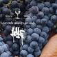 Winery Spotlight: Idle Cellars