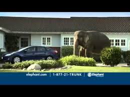Of course, i get a fairly simple hair cut but the staff is always very friendly. Elephant Auto Insurance Review 2020 Autoinsurance Org