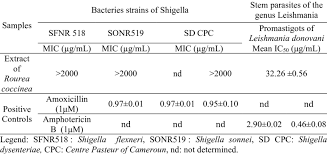 Image result for Rourea coccinea