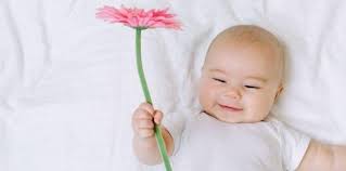 We did not find results for: Nama Bunga Dalam Bahasa Jepang Untuk Inspirasi Nama Bayi
