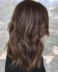 Blonde Babylights Pour Le Brun Balayage Cheveux En 2020 Cheveux Bruns Cheveux Bruns Blonds Balayage Cheveux Bruns
