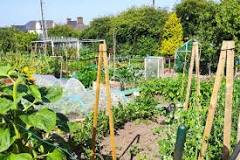 Health and wellbeing benefits of allotment gardening - Thrive