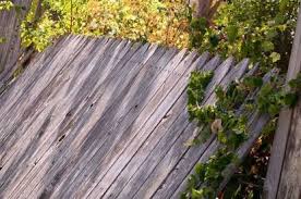 We did not find results for: Fencing Law Know Your Rights Consumer Nz