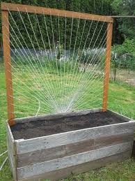 Emilee Raines (emdancin460)