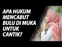 Cara cukur bulu kaki sudah sering mencukur bulu kaki, tapi kok tumbuhnya makin lebat mungkin kamu perlu terapkan tips ini. Hukum Mencabut Bulu Di Muka Untuk Cantik Youtube