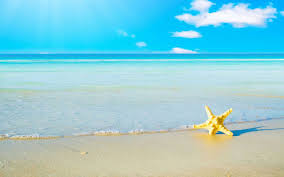 Nature aesthetic beach aesthetic summer aesthetic travel aesthetic aesthetic backgrounds aesthetic wallpapers. Summer Hintergrundbild Nawpic