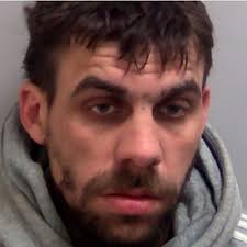 Robber jailed after police chase from Basildon ended with him smashing car  into a tree in Pitsea