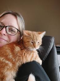 My beautiful buff tabby Baileys Irish Cream or Bay Bay. He's such a  gorgeous kitty, don't you think?