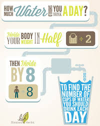 infographic how much water should you drink per day drinks drinking water health application