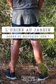 L Urine Au Jardin Une Vraie Bonne Idee En 2020 Petits Jardins De Potagers Jardins Jardin Aquatique Interieur