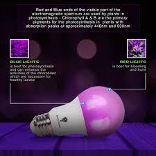 Amazon led grow light bulbs. 2 Pack Bluex 75w Led Grow Light Bulb A19 Bulb Full Spectrum Grow Lamp Grow Healthier Yield Better Harvests For Diy Indoor Plants Flowers Greenhouse Indore Garden Hydroponic