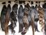 Best Beauty Supply Store Weave Brand