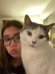 Our cats missing after a house fire she ran out in all the commotion and  hasn't come back since right before New years. If anyone has seen her she's  from center city