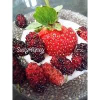 Get this list of keto chia seeds recipes here. Resepi Pudding Chia Seed