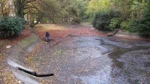 Cambrai Au Jardin Public Il N Y A Plus Ni Lac Ni Cygnes La Voix Du Nord