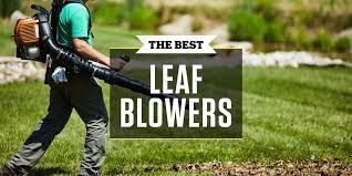 Leaf blowers not only work faster than rakes and take less effort but can also perform many tasks that rakes and mowers can't. Best Leaf Blower 2021 Cordless Leaf Blower Reviews