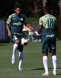 Vinícius gonçalves dias araújo (sp). Corinthians X Palmeiras Informacoes Estatisticas Curiosidades E Historico Do Confronto Palmeiras