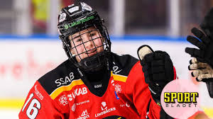 Dhl express is the most international company in the world. Petra Nieminen Missar Premiaren I Sdhl Med Lulea Aftonbladet