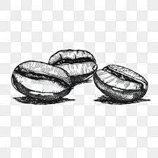 Hand Drawn Coffee Beans Sketch Food Clipart Sketch Hand Painted Png Transparent Clipart Image And Psd File For Free Download How To Draw Hands Coffee Bean Art Sketch Free