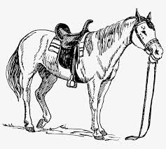 It has large spaces to fill with colors. 1330015111 Pommel 1 Horse With Saddle Coloring Page Png Image Transparent Png Free Download On Seekpng