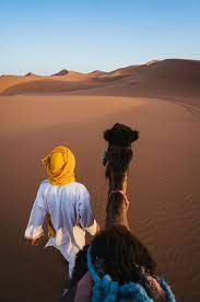 Huge collection, amazing choice, 100+ million high quality, affordable rf and rm images. Hd Wallpaper Man Walking On Desert With Camel Man Wearing Yellow Turban Beside Brown Camel On Desert Wallpaper Flare