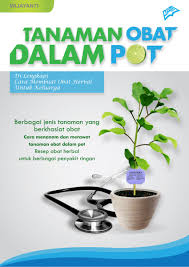 Info seputar tanaman obat herbal keluarga asli indonesia berikut mengolahnya menjadi ramuan obat herbal berkhasiat. 25 Inspirasi Keren Contoh Poster Tanaman Obat The Light Of Karen