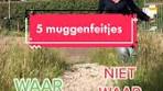 Kende jij deze muggenfeitjes allemaal?! 🦟#muggenbeet ... - TikTok
