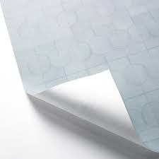 Image result for Ocean Mist 1972 Hussmann