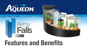 New and used items, cars, real estate, jobs, services, vacation rentals and more virtually anywhere in ontario. Aqueon Betta Falls Betta Desktop Aquarium Kit Features Benefits Youtube