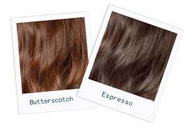 Is hair the only part of the body that can be. Which Brunette Hair Color Is Right For Me Butterscotch Or Espresso Hair Color Shades Brunette Hair Color Hair Color