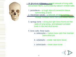 Chapter 36 Skeletal Muscular And Integumentary Systems Ppt Video Online Download