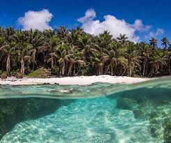 Christmas island is located in the indian ocean, around 350 kilometres (220 mi) south of christmas island had a population of 1,843 residents as of 2016, 2 the majority of whom live in settlements on. Christmas Island Scuba Diving Resorts Liveaboards