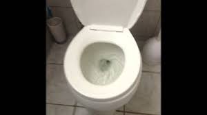 You need to check how bad the clog is. How To Unclog A Toilet With Vinegar And Baking Soda Youtube