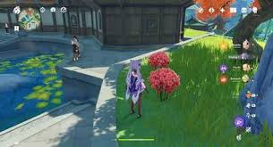 Where can i buy flowers in liyue. How To Get Silk Flower And Effects Silk Flower Locations Genshin Impact Game8
