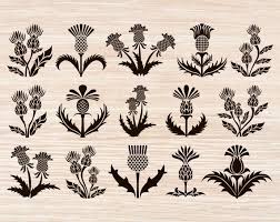 The software relates to photo & graphics tools. Thistle Svg Thistle Svg Files Thistle Instant Download Outlander Thistle Svg Thistle Clipart Thistle Outlander Buy Pictures Cricut Craft Room