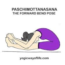 Resultado De Imagen Para Paschimottanasana Yoga Help Yoga Asanas Learn Yoga