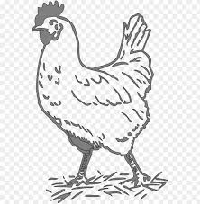 Download Svg Freeuse Library Gray Hen Clip Art At Clker Com Black And White Chicken Clip Art Png Image With Transparent Background Toppng