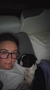 sudden death of a 1 year old dog