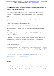 Image result for Brachythrix glomerata