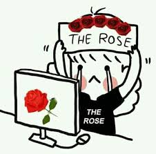 Kpop Memes Rose Wallpaper Rose Black Rose