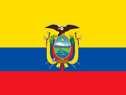 The democratic republic of the congo flag has a blue background with a yellow star in the upper left canton that was cut diagonally by a red stripe with a yellow fimbriation. Flags People Have A Hard Time Recognizing