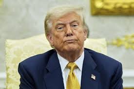 Trump slams his own supporters as 'stupid people' for falling for what he  calls the Epstein 'hoax'