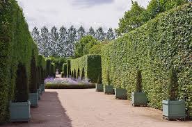 Chateau De Ainay Le Vieil Cher Jardins Carre De L Ile Park Sidewalk Garden