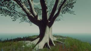 Collection by barbie gorelick callanan. Sacred Tree Official The Forest Wiki