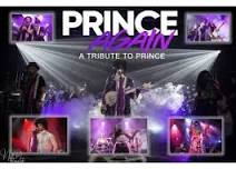 PRINCE TRIBUTE