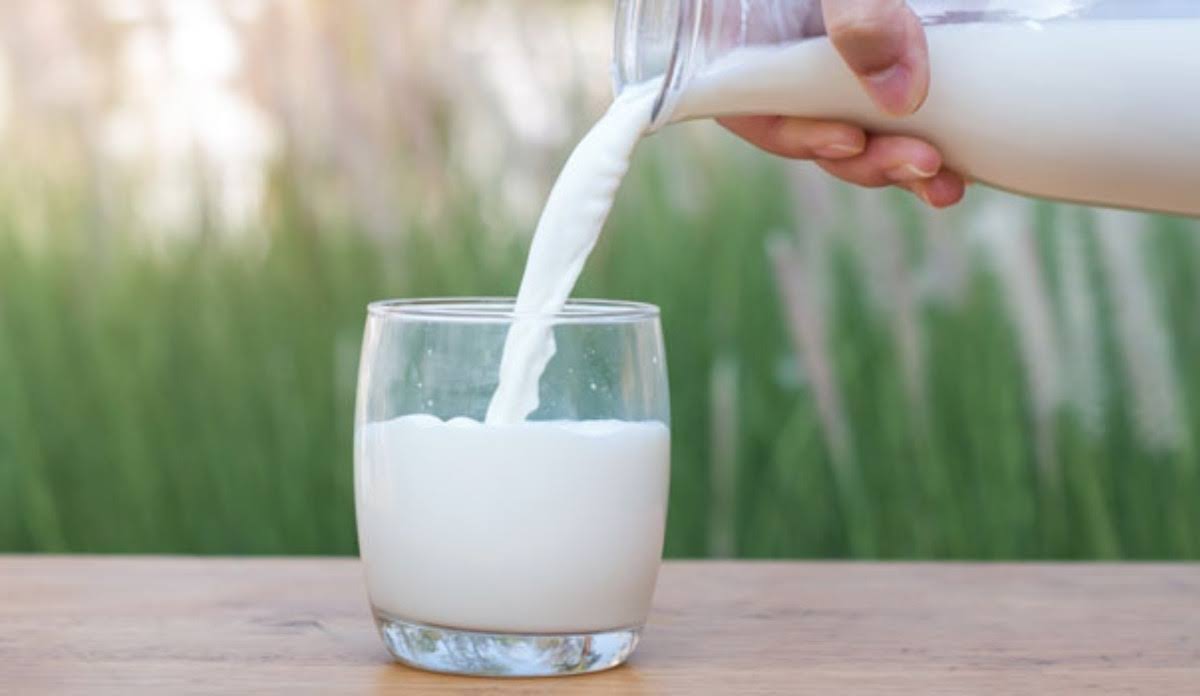 Low Fat Milk product image